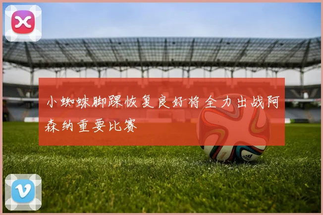 小蜘蛛脚踝恢复良好将全力出战阿森纳重要比赛