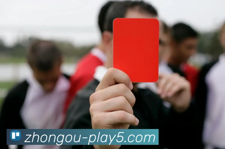 未来规划